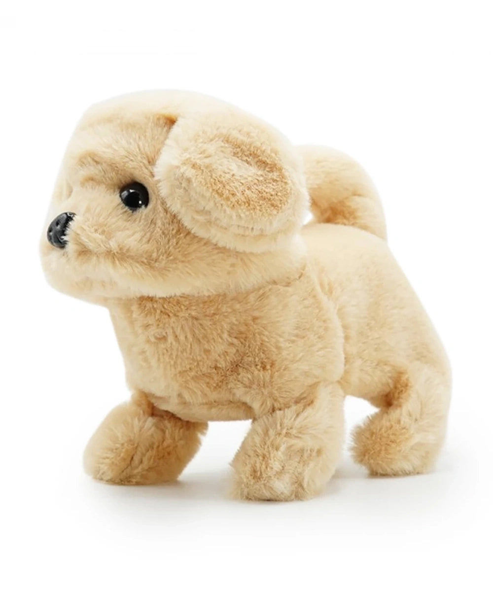 Pugs at Play Goldie The Golden Retriever Walking Dog-Real Animal