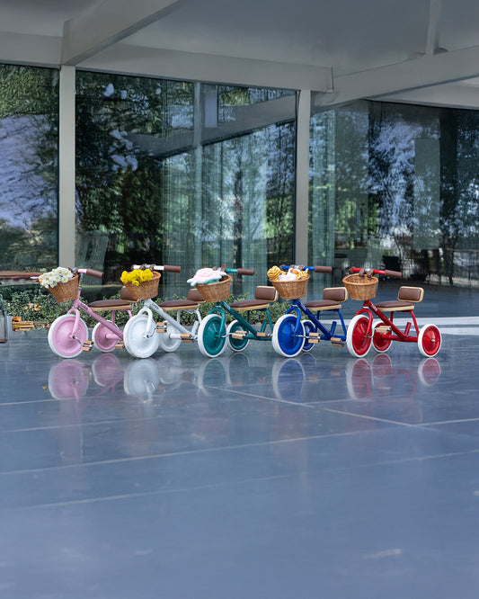 Todds Trike-ISO 8124 Certified-Detachable & Height Adjustable Parent Handlebar-With Birchwood Pedals & Vegan Leather Padded Seat-For 18M+-Popsicle Pink