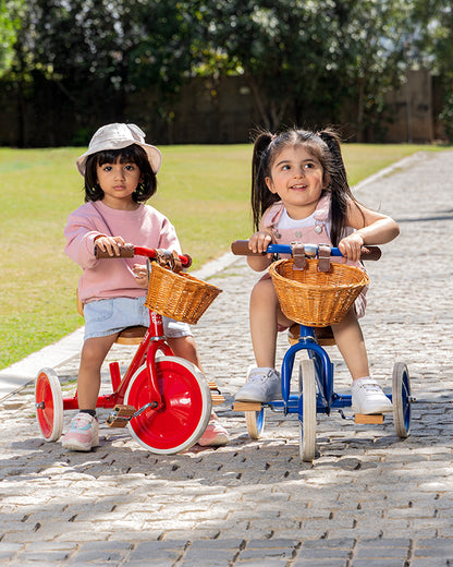 Todds Trike-ISO 8124 Certified-Detachable & Height Adjustable Parent Handlebar-With Birchwood Pedals & Vegan Leather Padded Seat-For 18M+-Popsicle Pink