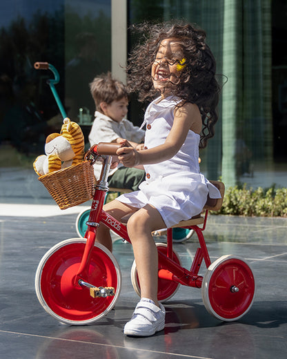 Todds Trike-ISO 8124 Certified-Detachable & Height Adjustable Parent Handlebar-With Birchwood Pedals & Vegan Leather Padded Seat-For 18M+-Popsicle Pink