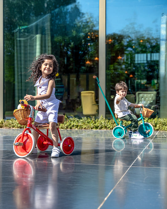 Todds Trike-ISO 8124 Certified-Detachable & Height Adjustable Parent Handlebar-With Birchwood Pedals & Vegan Leather Padded Seat-For 18M+-Popsicle Pink