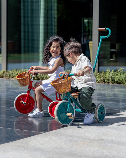 Todds Trike-ISO 8124 Certified-Detachable & Height Adjustable Parent Handlebar-With Birchwood Pedals & Vegan Leather Padded Seat-For 18M+-Popsicle Pink