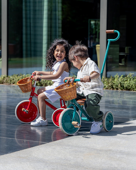 Todds Trike-ISO 8124 Certified-Detachable & Height Adjustable Parent Handlebar-With Birchwood Pedals & Vegan Leather Padded Seat-For 18M+-Popsicle Pink