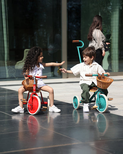 Todds Trike-ISO 8124 Certified-Detachable & Height Adjustable Parent Handlebar-With Birchwood Pedals & Vegan Leather Padded Seat-For 18M+-Popsicle Pink