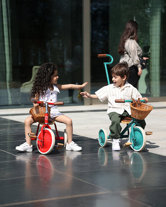 Todds Trike-ISO 8124 Certified-Detachable & Height Adjustable Parent Handlebar-With Birchwood Pedals & Vegan Leather Padded Seat-For 18M+-Popsicle Pink