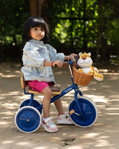 Todds Trike-ISO 8124 Certified-Detachable & Height Adjustable Parent Handlebar-With Birchwood Pedals & Vegan Leather Padded Seat-For 18M+-Popsicle Pink