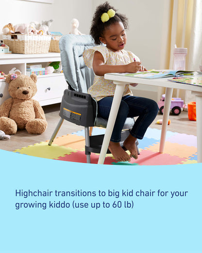 Graco Made2Grow Baby High Chair-Self Standing Fold-With 6 Growing Stages-6M to 7Y (Upto 18Kg)-Tasha