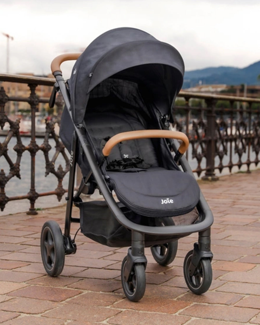 Mytrax Flex Signature Joie Mytrax S Stroller Joie Mytrax Flex