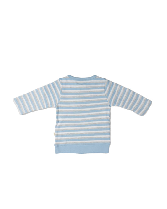 Tiny Twig White & Blue Winter Wear Sweatshirt-SBE Stripes-Organic Cotton-For Infants