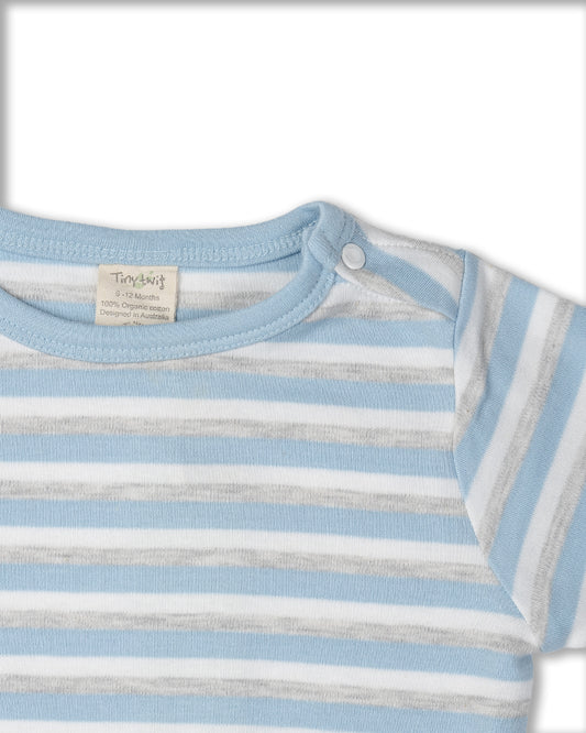 Tiny Twig White & Blue Winter Wear Sweatshirt-SBE Stripes-Organic Cotton-For Infants