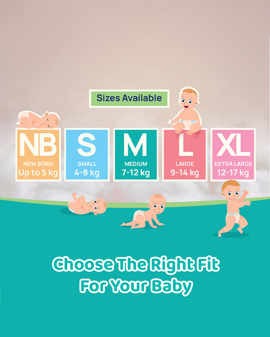 PACK SIZE - Pack of 36