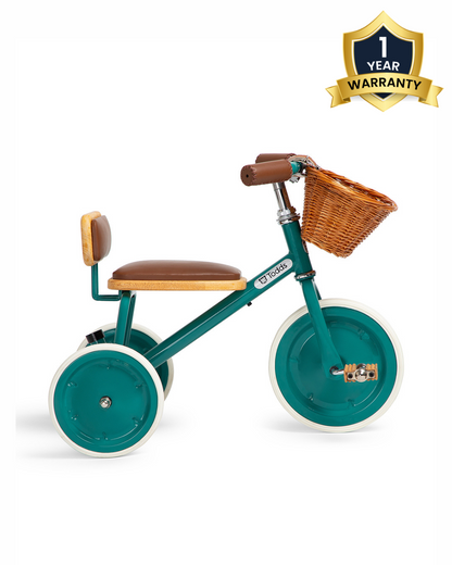 Todds Trike-ISO 8124 Certified-Detachable & Height Adjustable Parent Handlebar-With Birchwood Pedals & Vegan Leather Padded Seat-For 18M+-Mermaid Teal
