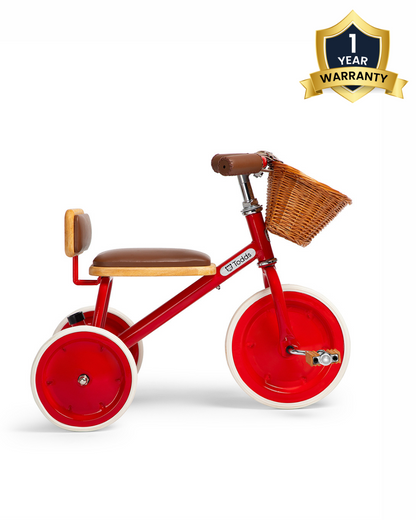 Todds Trike-ISO 8124 Certified-Detachable & Height Adjustable Parent Handlebar-With Birchwood Pedals & Vegan Leather Padded Seat-For 18M+-Racer Red