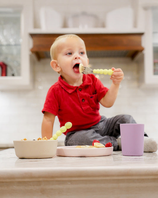 Melii 3 Piece Meal Set-Food Grade Silicone-Microwave & Dishwasher Safe-Purple, Grey & Pink-For Feeding Infants