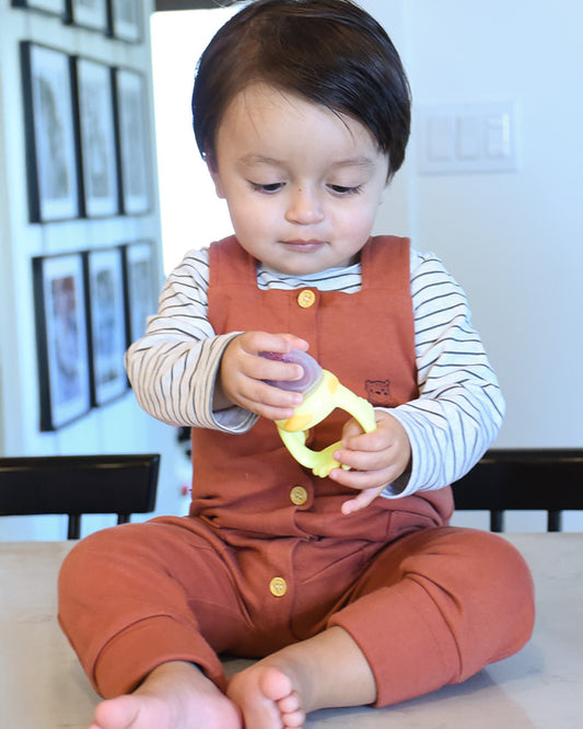 Melii Silicone Fresh Food Feeder & Teether-Duck-Long Handles-Microwave Safe-Pack of 2-For Infants