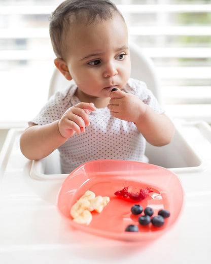 Dr. Brown's Weaning Toddler Plates-Microwave & Dishwasher Safe-Pack of 3-Multicolor-For Feeding Infants
