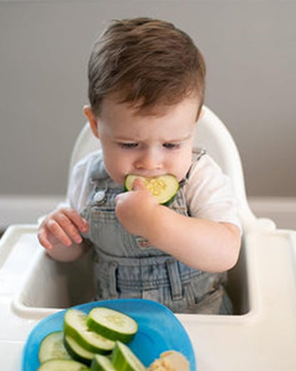 Dr. Brown's Weaning Toddler Plates-Microwave & Dishwasher Safe-Pack of 3-Multicolor-For Feeding Infants