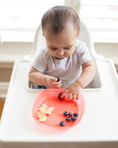 Dr. Brown's Weaning Toddler Plates-Microwave & Dishwasher Safe-Pack of 3-Multicolor-For Feeding Infants