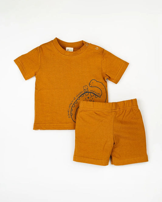 BeeLittle Brown Coord Set-Dinosaur-Cotton-For Infants