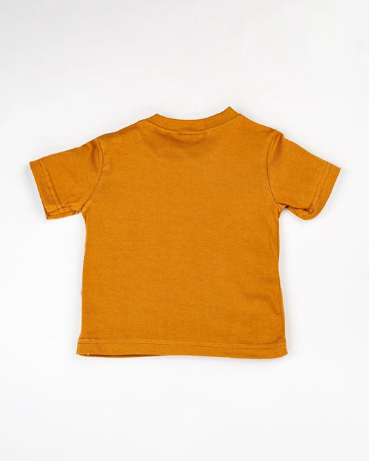 BeeLittle Brown Coord Set-Dinosaur-Cotton-For Infants