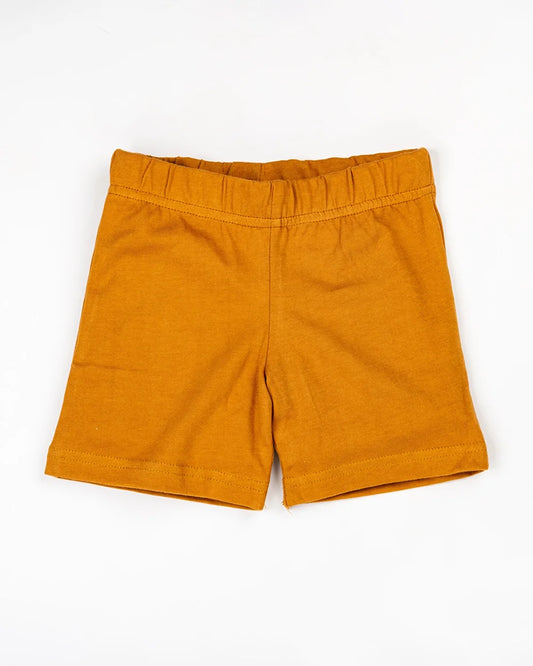 BeeLittle Brown Coord Set-Dinosaur-Cotton-For Infants