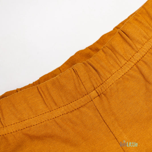 BeeLittle Brown Coord Set-Dinosaur-Cotton-For Infants