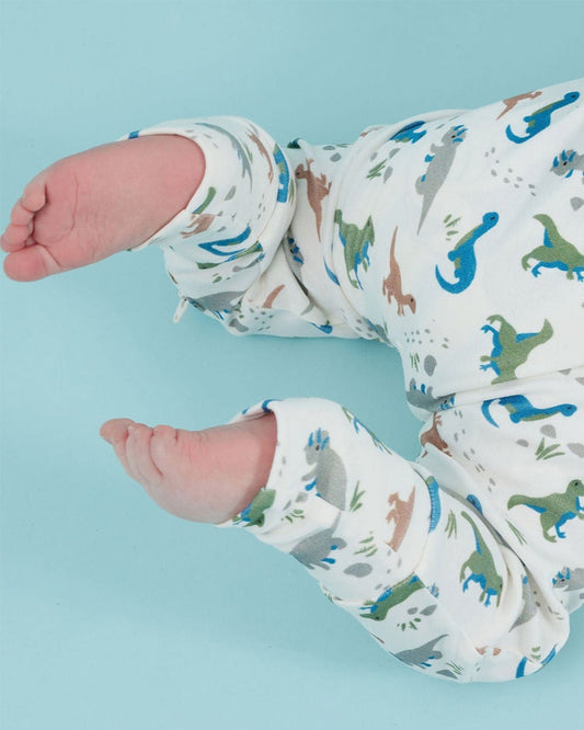 Tiny Twig Multicolor Onesie-Dino-Organic Cotton-For Infants