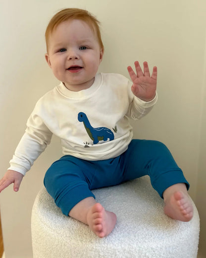 Tiny Twig Multicolor Winter Wear Sweatshirt-Dino-Organic Cotton-For Infants