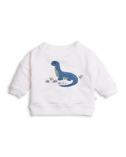 Tiny Twig Multicolor Winter Wear Sweatshirt-Dino-Organic Cotton-For Infants