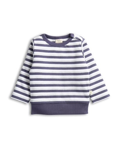 Tiny Twig Violet Winter Wear Sweatshirt- GME Striped-Organic Cotton-For Infants