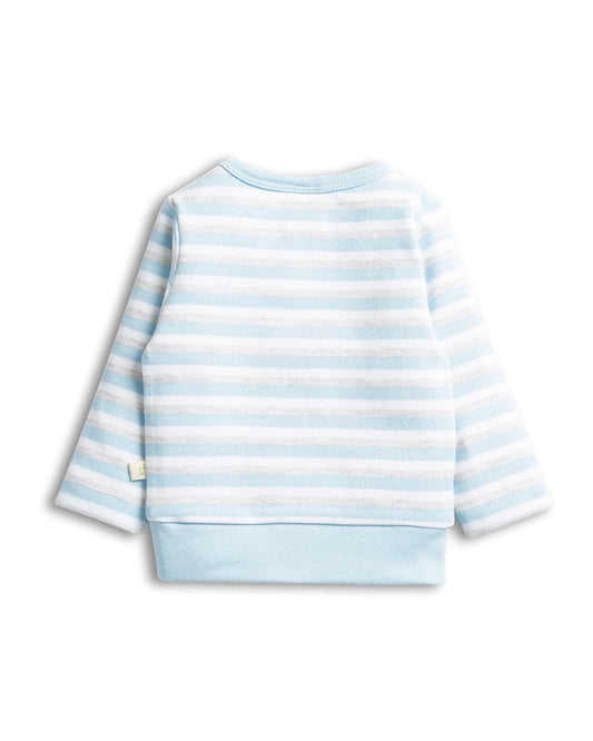 Tiny Twig White & Blue Winter Wear Sweatshirt-SBE Stripes-Organic Cotton-For Infants