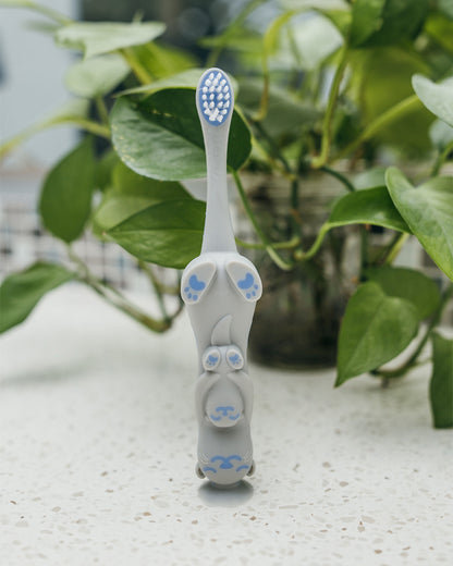 Dr. Brown's Toddler Baby Toothbrush-12 to 48M-Otter