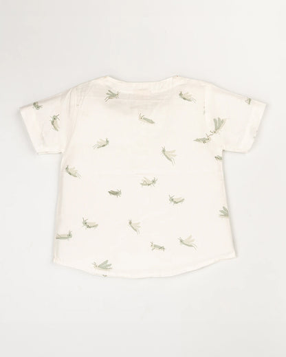 Beelittle White & Green Top & Shorts Set-Grashopper Print-100% Cotton-For Infants