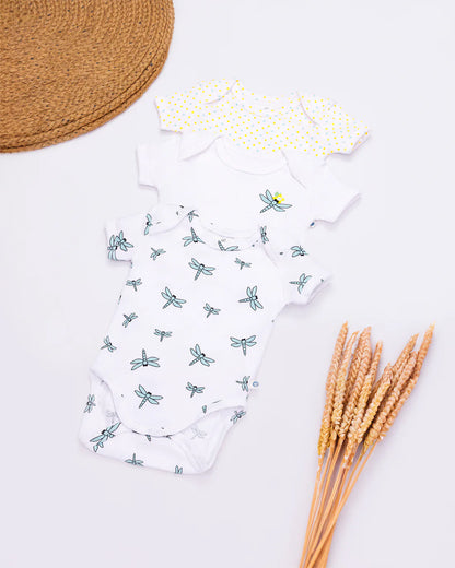 Cotton Bug White Bodysuit-Dragonfly-Organic Cotton-Half Sleeves-Pack Of 3-For Infants