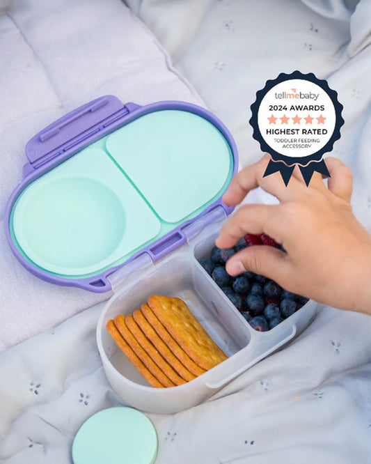 b.box Snack Box-With Leak Proof Silicone Seal-Flexi Whole Fruit Holder-Easy Open Clip-Lilac Pop-For Feeding Infants