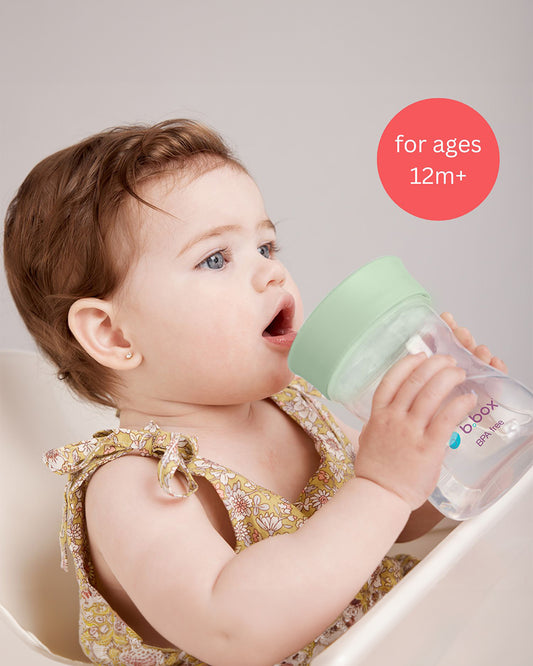 b.box Training Cup-With Silicone Sleeve-Unique Water Window-Easy Free Flow Drinking-240 ml-Sage Green-For Infants