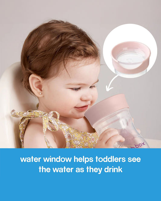 b.box Training Cup-With Silicone Sleeve-Unique Water Window-Easy Free Flow Drinking-240 ml-Blush Pink-For Infants