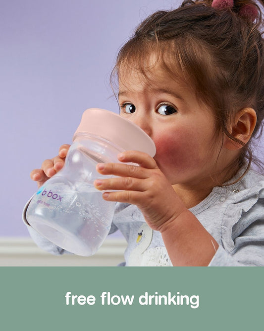 b.box Training Cup-With Silicone Sleeve-Unique Water Window-Easy Free Flow Drinking-240 ml-Blush Pink-For Infants