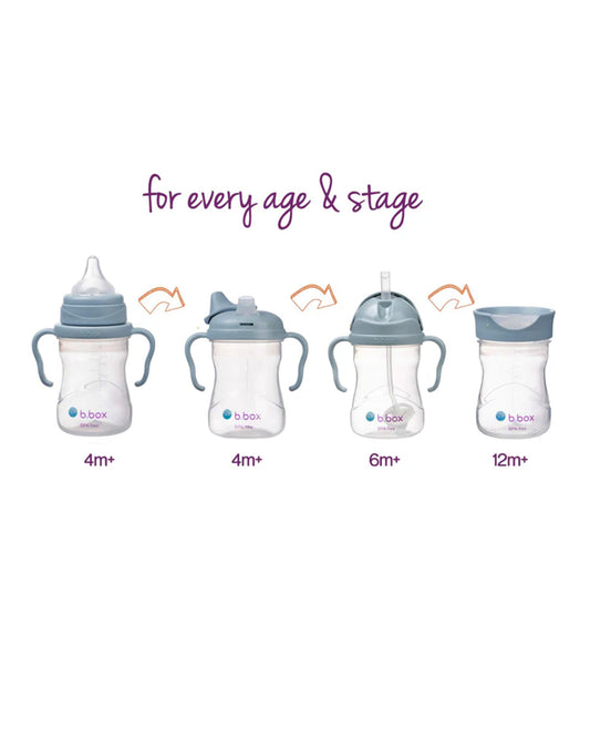 b.box Transition Value Pack-One Cup with 4 Lids for Every Stage of Growth (3M to 12M+) : Includes Medium Flow Teat, Soft Spout, Weighted Straw & Training Cup Lids-Ocean Blue-240 ml