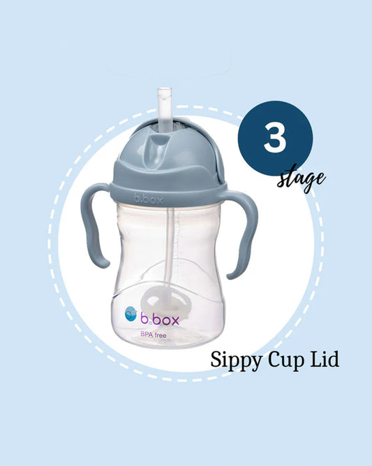 b.box Transition Value Pack-One Cup with 4 Lids for Every Stage of Growth (3M to 12M+) : Includes Medium Flow Teat, Soft Spout, Weighted Straw & Training Cup Lids-Ocean Blue-240 ml