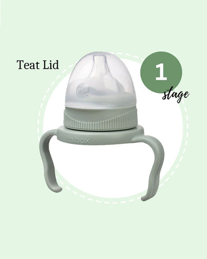 b.box Transition Value Pack-One Cup with 4 Lids for Every Stage of Growth (3M to 12M+) : Includes Medium Flow Teat, Soft Spout, Weighted Straw & Training Cup Lids-Sage Green-240 ml