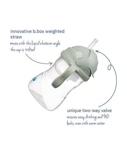 b.box Transition Value Pack-One Cup with 4 Lids for Every Stage of Growth (3M to 12M+) : Includes Medium Flow Teat, Soft Spout, Weighted Straw & Training Cup Lids-Sage Green-240 ml
