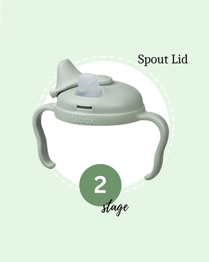 b.box Transition Value Pack-One Cup with 4 Lids for Every Stage of Growth (3M to 12M+) : Includes Medium Flow Teat, Soft Spout, Weighted Straw & Training Cup Lids-Sage Green-240 ml