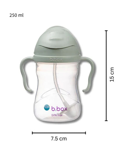 b.box Transition Value Pack-One Cup with 4 Lids for Every Stage of Growth (3M to 12M+) : Includes Medium Flow Teat, Soft Spout, Weighted Straw & Training Cup Lids-Sage Green-240 ml