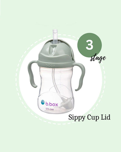 b.box Transition Value Pack-One Cup with 4 Lids for Every Stage of Growth (3M to 12M+) : Includes Medium Flow Teat, Soft Spout, Weighted Straw & Training Cup Lids-Sage Green-240 ml