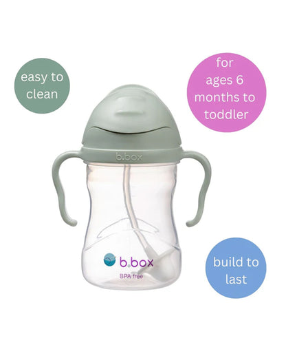 b.box Transition Value Pack-One Cup with 4 Lids for Every Stage of Growth (3M to 12M+) : Includes Medium Flow Teat, Soft Spout, Weighted Straw & Training Cup Lids-Sage Green-240 ml