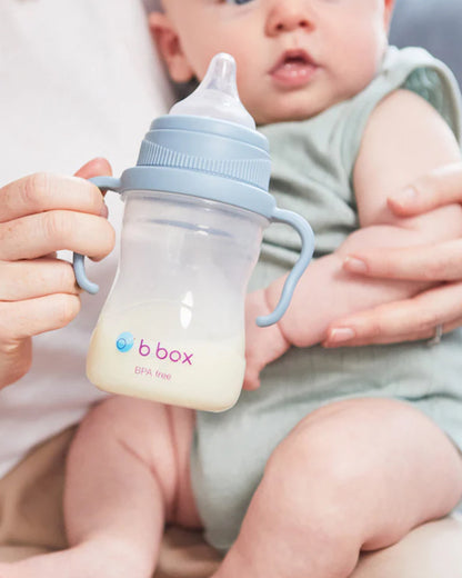 b.box Transition Value Pack-One Cup with 4 Lids for Every Stage of Growth (3M to 12M+) : Includes Medium Flow Teat, Soft Spout, Weighted Straw & Training Cup Lids-Sage Green-240 ml