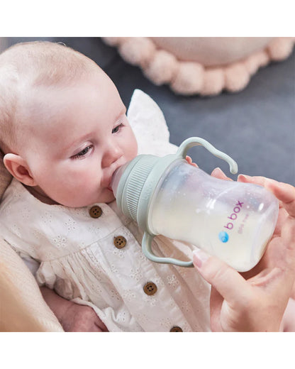 b.box Transition Value Pack-One Cup with 4 Lids for Every Stage of Growth (3M to 12M+) : Includes Medium Flow Teat, Soft Spout, Weighted Straw & Training Cup Lids-Sage Green-240 ml