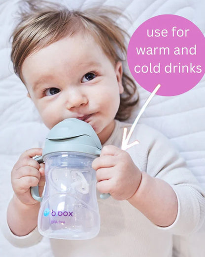 b.box Transition Value Pack-One Cup with 4 Lids for Every Stage of Growth (3M to 12M+) : Includes Medium Flow Teat, Soft Spout, Weighted Straw & Training Cup Lids-Sage Green-240 ml