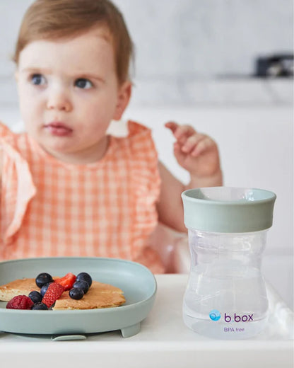 b.box Transition Value Pack-One Cup with 4 Lids for Every Stage of Growth (3M to 12M+) : Includes Medium Flow Teat, Soft Spout, Weighted Straw & Training Cup Lids-Sage Green-240 ml